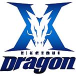 DragonX球队图片