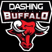 Dashing Buffalo