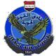 巴格达空军球队图片