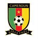喀麦隆队球队图片